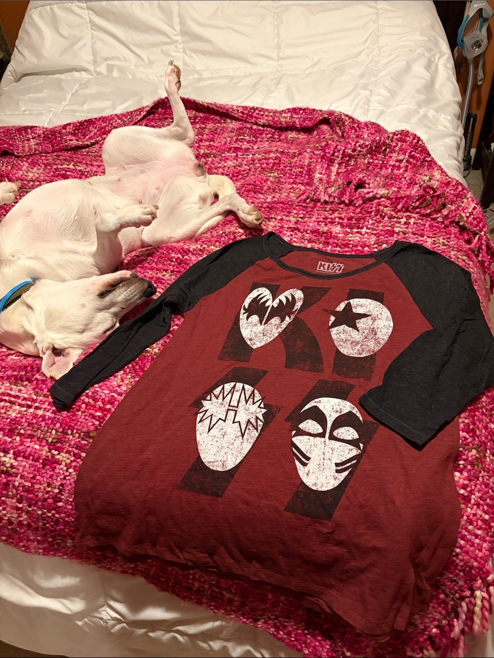 Kiss Raglan Graphic Tee in Burgundy and Black